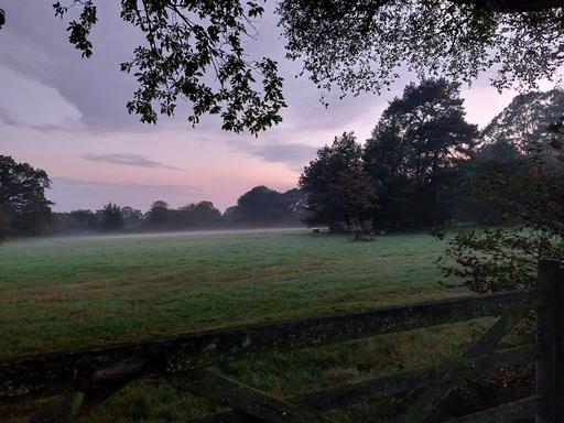 Field in Heathfield