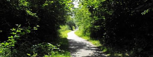 A photograph of The Cuckoo Trail in Heathfield